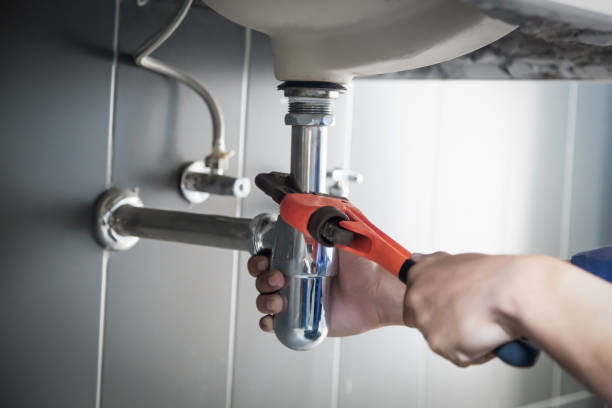 Best Plumbing System Maintenance  in The Galena Territory, IL